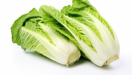 fresh chinese cabbage on a white background