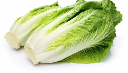 fresh chinese cabbage on a white background