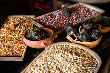 Variety of native corn races from the Oaxaca region in Mexico.