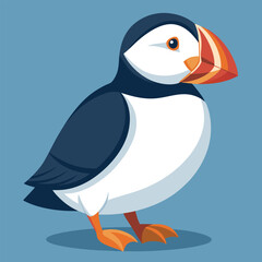 Hand Drawn Puffin Cartoon Illustration.