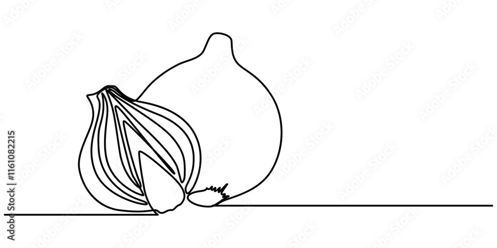 Poster two bulbs of onions. harvest. continuous line drawing. vector illustration, continuous one line draw