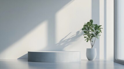 Obraz premium Minimalistic Interior Design with Soft Natural Light and Potted Plant on Clean Background