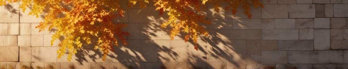 Fototapeta premium Warm golden light falls on a wall with the shadow of fallen maple tree leaves , warm, fall colors, light