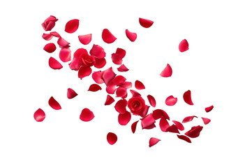 High-Resolution Visual of Falling Red Rose Petals on a Clear Transparent Background for Love-Themed Projects.