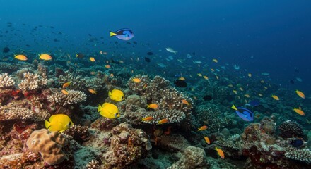 Obraz premium Underwater Paradise: A vibrant coral reef teems with life, a mesmerizing spectacle of colorful fish darting through the crystal-clear waters. 