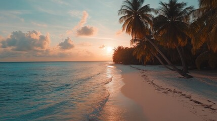Secluded tropical beach at sunset featuring golden light, gentle waves, and palm trees lining the shore against a serene sky.