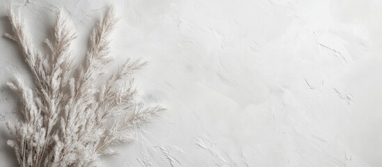 Elegant Minimalist White Marble Texture Background Featuring Soft Textured Space Ideal for Creative Text Placement and Design Projects