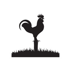 Fototapeta premium bird in the grass