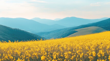 Obraz premium Vibrant Yellow Flower Field Against Serene Mountain Landscape Under a Clear Sky