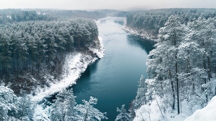 Naklejka premium Serene winter river winding through snow-covered pine forest in panoramic view perfect for travel adventure and New Year resolution themes