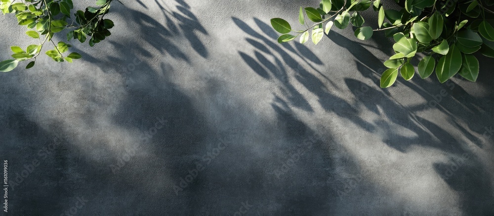 Poster dark concrete surface with tree leaves shadows and sunlight creating a textured background ideal for