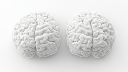 The image features two symmetrical, white brain models, symbolizing cognitive processes and neurological studies.