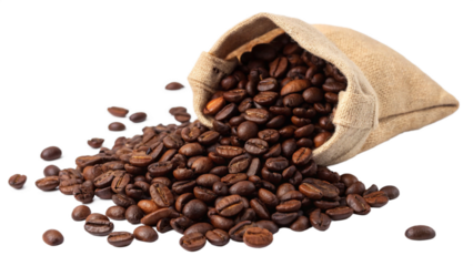 Roasted Coffee Beans Spilling from Burlap Sack Bag