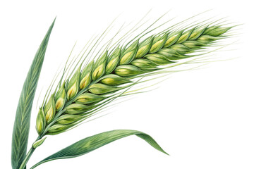 Glitched Wheat Grain on a Transparent Background