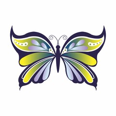 Obraz premium butterfly