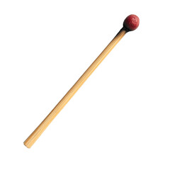 Close-up of a Single Wooden Matchstick with a Red Tip