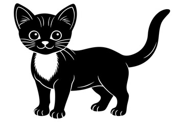 Fototapeta premium black and white cat