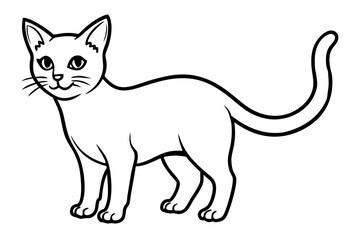 Fototapeta premium illustration of a cat