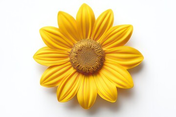 Fototapeta premium A vibrant yellow sunflower with textured petals and a detailed center against a white background.