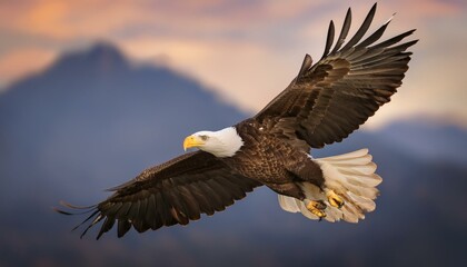 Fototapeta premium american bald eagle in flight americana concept