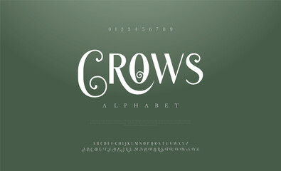 Elegant alphabet letters serif font and number. Classic Lettering Minimal Fashion. Typography fonts uppercase, lowercase and numbers. vector illustration
