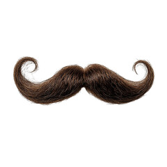 Magnificent handlebar mustache, a symbol of vintage style and masculinity. A detailed close-up shot showcasing its unique curls and texture.