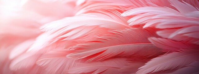 Delicate flamingo plumage showcasing gentle pink tones, evoking elegance and grace in nature's vibrant palette.