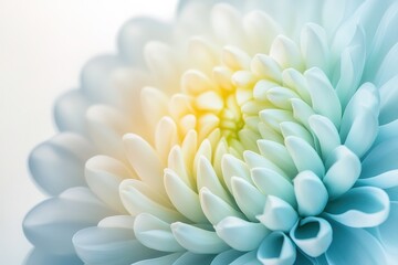 Close-up of a delicate, pastel-colored flower. Soft petals in shades of blue and white create a serene image.