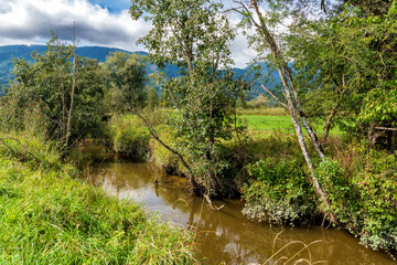 Die Ramsach bildet unterschiedlichste Biotope mit ihrem moorigen Wasser im Murnauer Moos