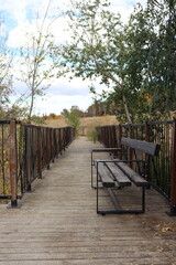 wooden bench in the park
