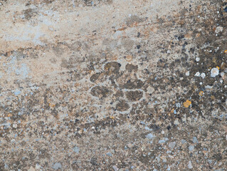 Top view of old grey cement floor with gravel stone with imprinted dog paw prints. Gray concrete surface with animal footprints, moisture stains, lichens and moss texture or background.
