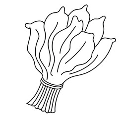 Cute cartoon hand drawn vector Spinach coloring page.