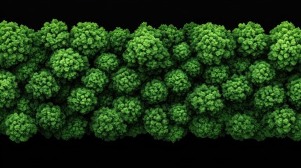 Lush green foliage growth forest floor natural landscape vibrant environment aerial view eco-friendly concept