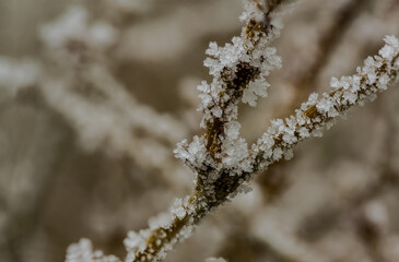 Ein frostiger Tag auf dem Bogenberg