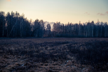morning sunrise, leafless trees, autumn season, Latvia landscape