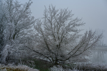 Ein kalter nebliger Wintertag mit Raureif 