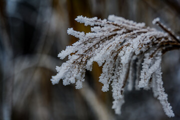 Ein frostiger Tag auf dem Bogenberg