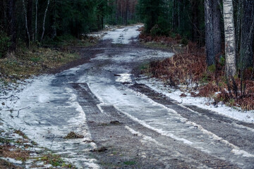 forest road, slippery road, early winter, forest trees, Latvia landscape, perspective