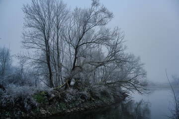 Ein kalter nebliger Wintertag mit Raureif 