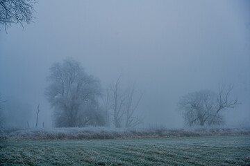 Ein kalter nebliger Wintertag mit Raureif 