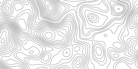 Topography and geography map grid abstract backdrop, Modern design with White background.