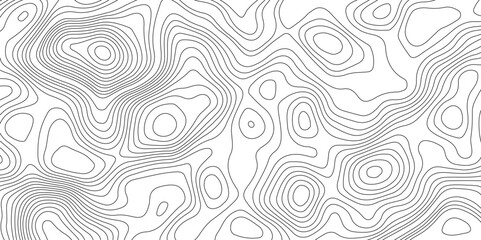 Topography and geography map grid abstract backdrop, Modern design with White background.