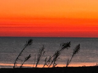 sunset on the beach