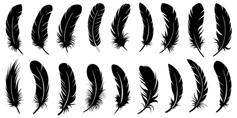 Collection of elegant black feather silhouettes, vector design elements