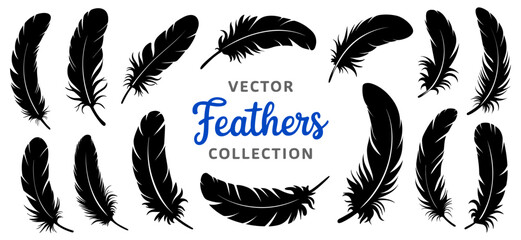 Vector collection of black feather silhouettes on white background