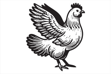 Chicken Illustration this is a editable file