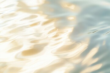 A bird floats on the surface of a calm lake or river, free and untroubled