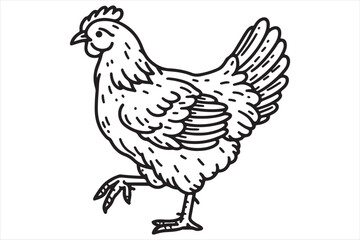 Chicken Illustration this is a editable file