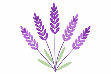 Elegant Purple Lavender Flowers, Aromatic Herbal Blooms, Natures Fragrance