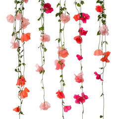 Obraz premium Vibrant Floral Tapestry: A Cascade of Sweet Pea Blossoms